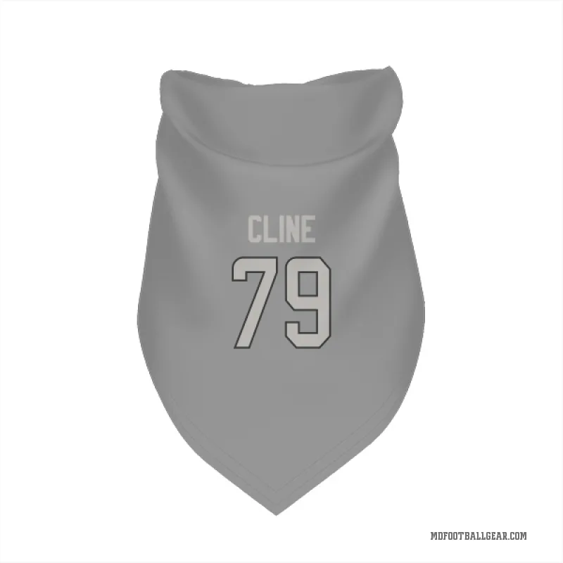 Kevin Cline  Charcoal Miami Dolphins  Cat & Dog Pet Bandana